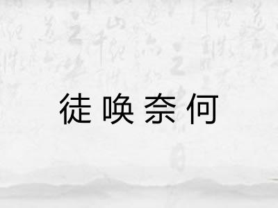 徒唤奈何