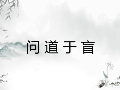问道于盲