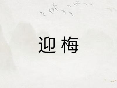 迎梅