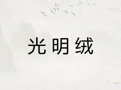 光明绒