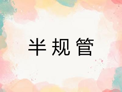 半规管