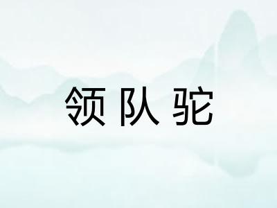 领队驼