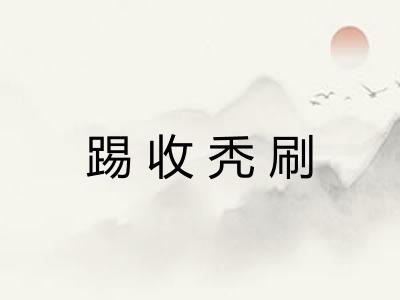 踢收秃刷