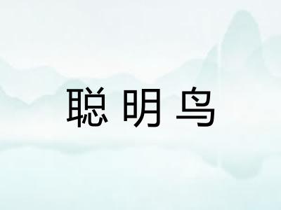 聪明鸟