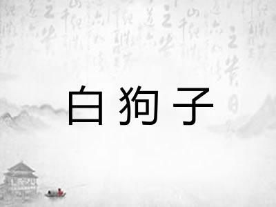 白狗子
