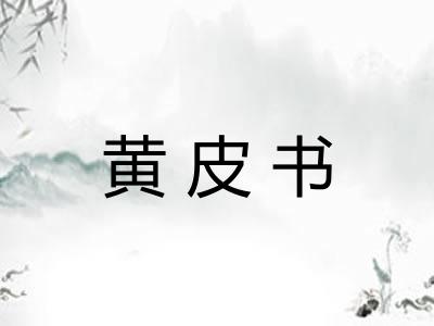 黄皮书