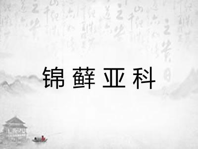锦藓亚科