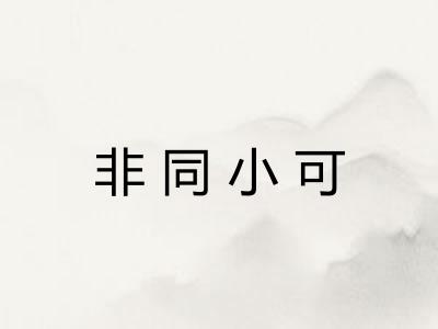 非同小可