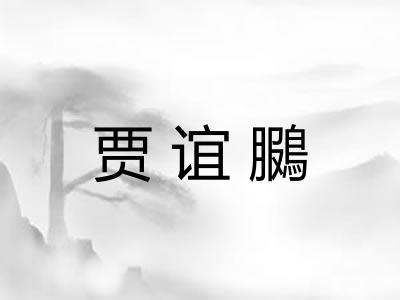 贾谊鵩