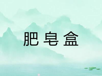 肥皂盒