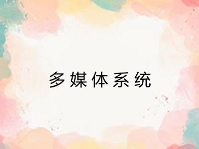 多媒体系统