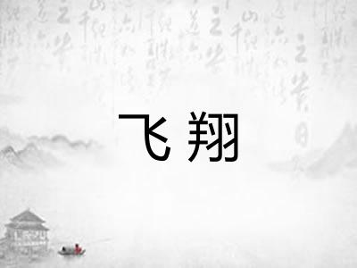 飞翔