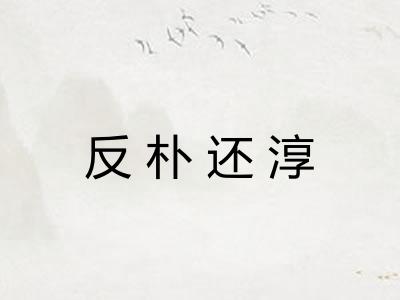 反朴还淳