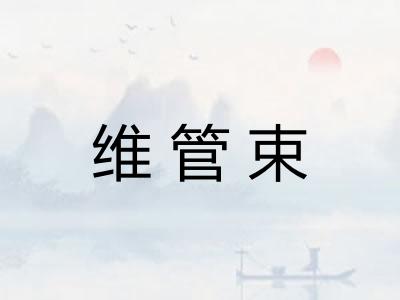 维管束