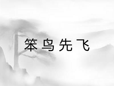 笨鸟先飞