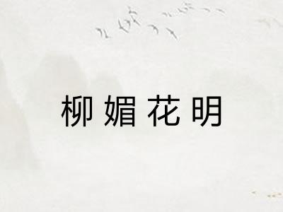 柳媚花明