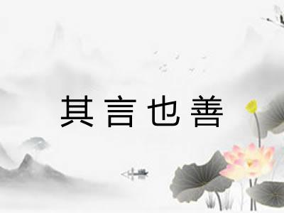 其言也善
