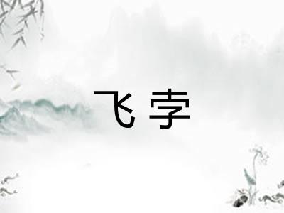 飞孛