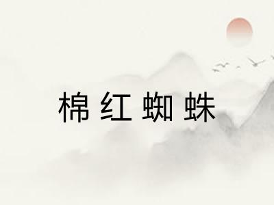 棉红蜘蛛