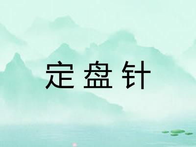 定盘针