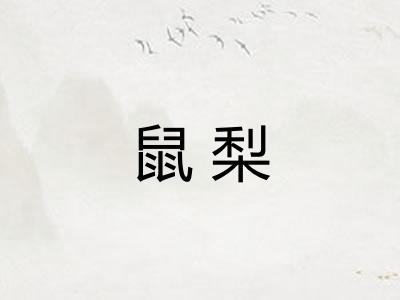 鼠梨