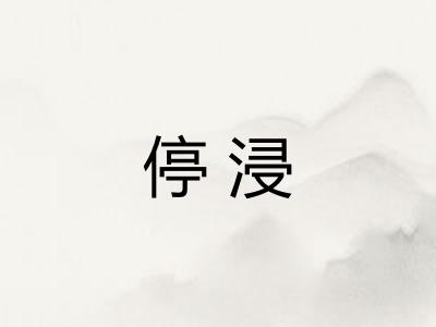 停浸