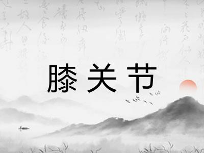 膝关节