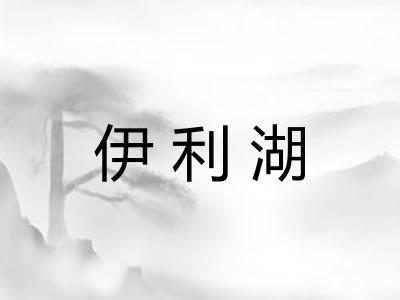 伊利湖
