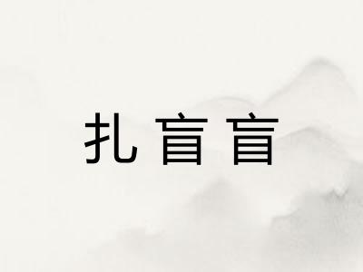 扎盲盲