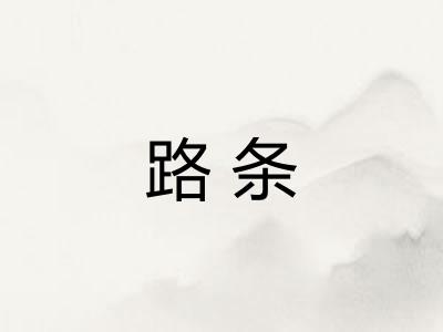 路条
