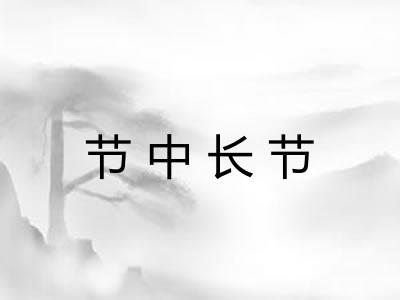 节中长节