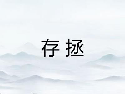 存拯