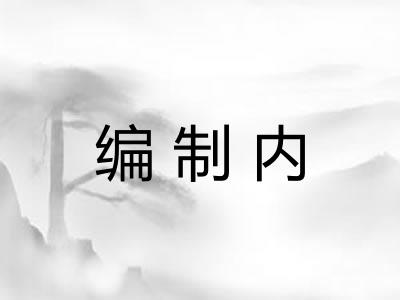 编制内