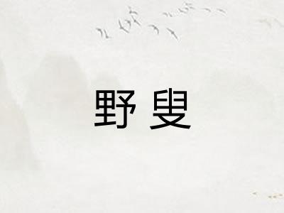 野叟