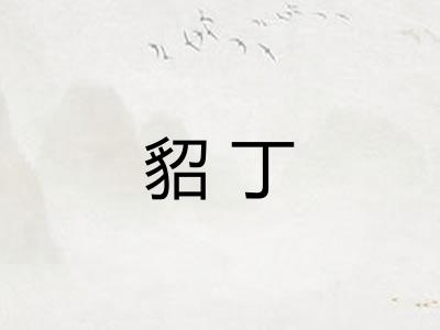 貂丁