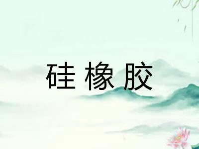 硅橡胶
