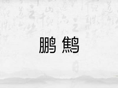 鹏鹪