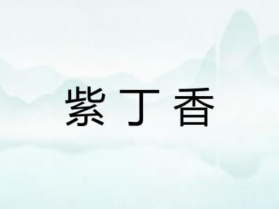 紫丁香