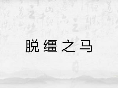脱缰之马