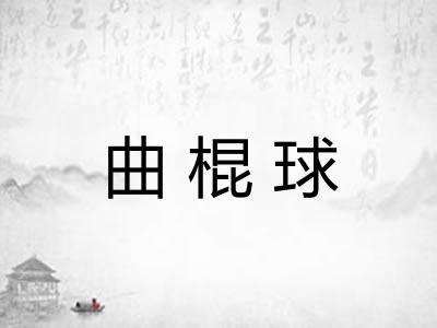 曲棍球