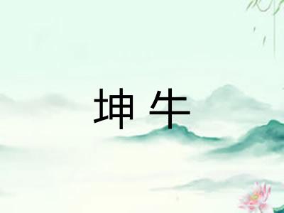 坤牛