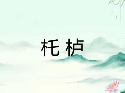 杔栌
