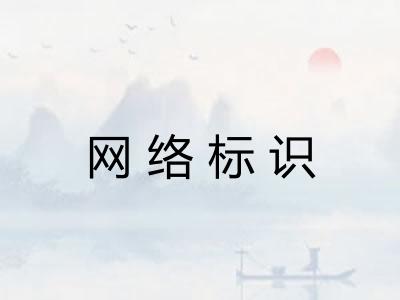 网络标识