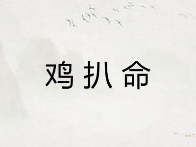 鸡扒命