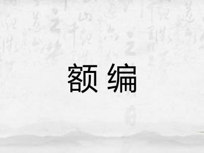 额编