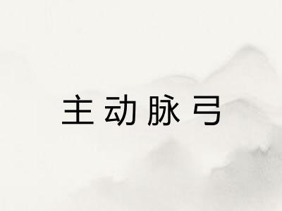 主动脉弓