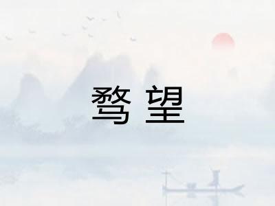 骛望