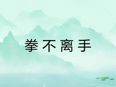 拳不离手