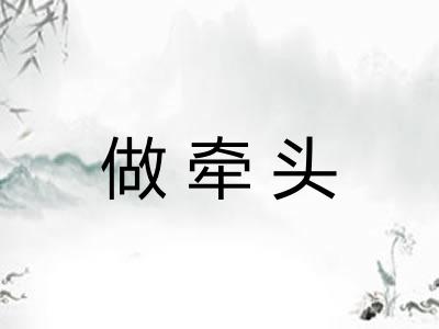 做牵头