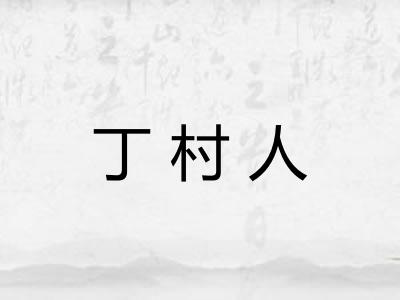 丁村人